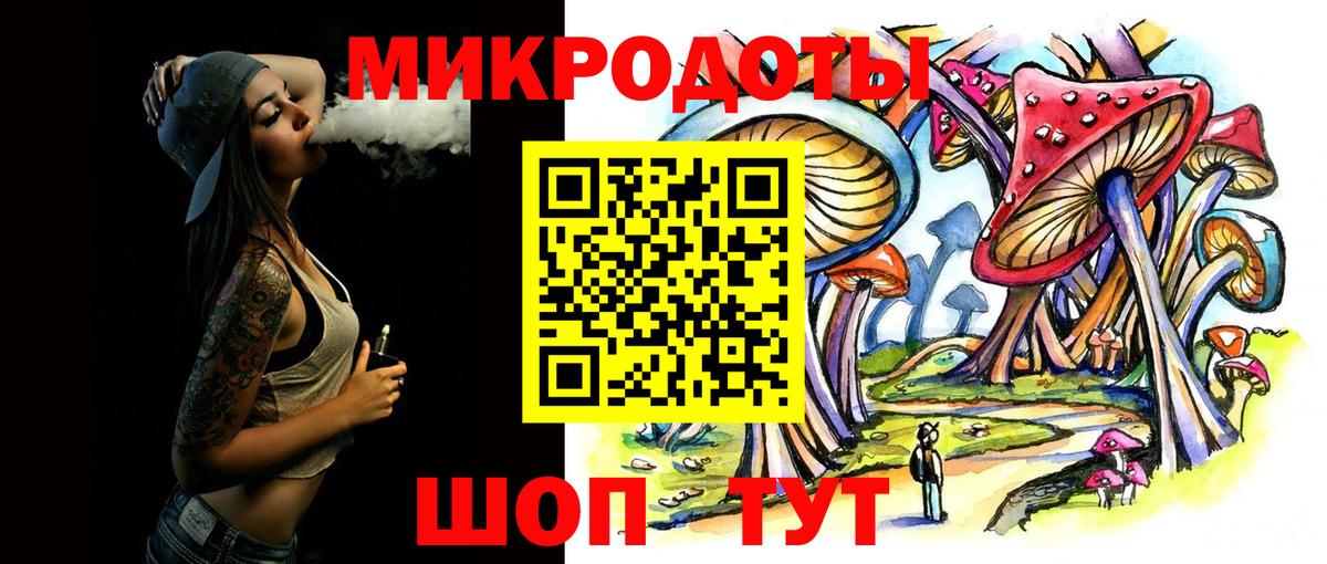 Россия  Псилоцибиновые грибы мицелий  Вход с VPN 