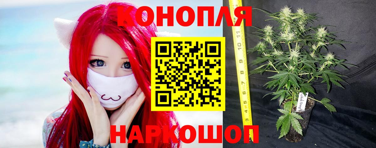 Марихуана Amnesia Россия